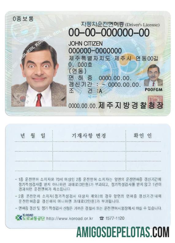 Carta de condução da Coreia do Sul modelo